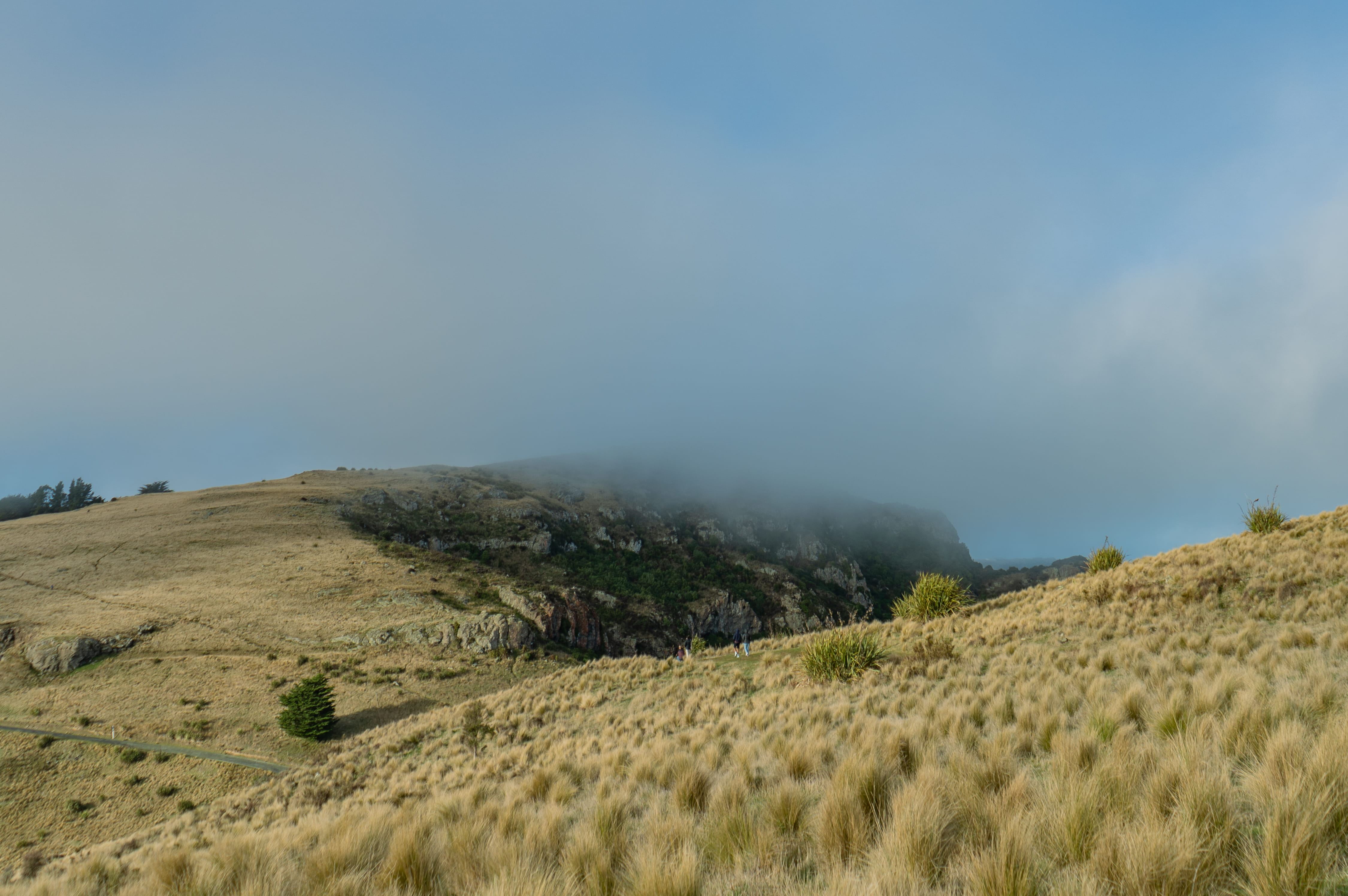 New Zealand landscape